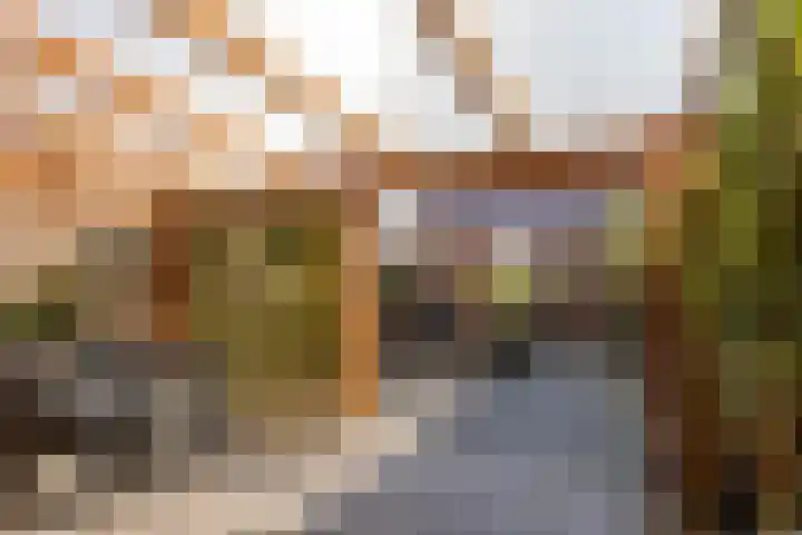 Vlasven 26 Veghel thumbnail 28