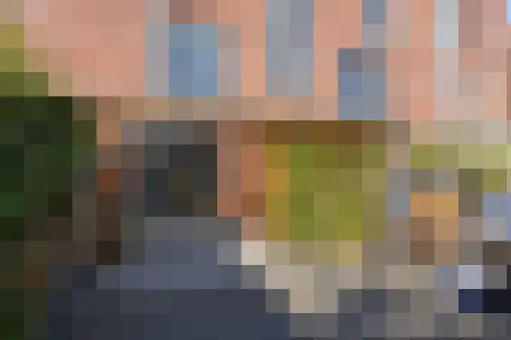 Vlasven 26 Veghel thumbnail 29