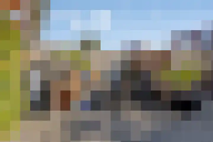 Vlasven 26 Veghel thumbnail 31