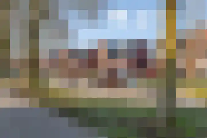 Vlasven 26 Veghel thumbnail 35