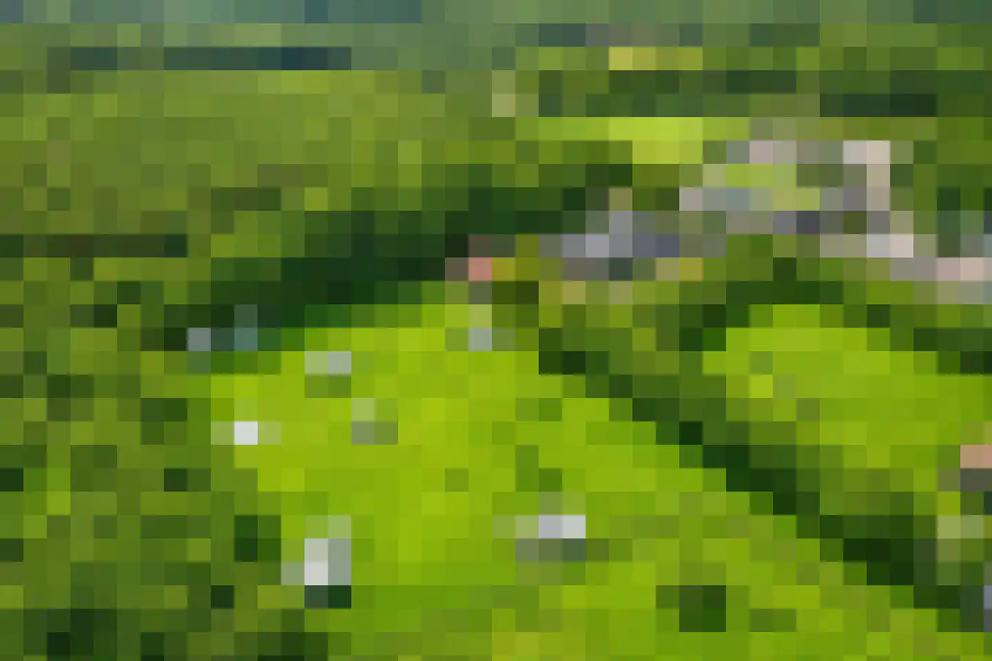Vlasweg 3 in Swolgen