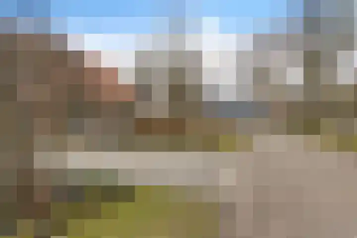 Vledderweg 2 Vledder thumbnail 11