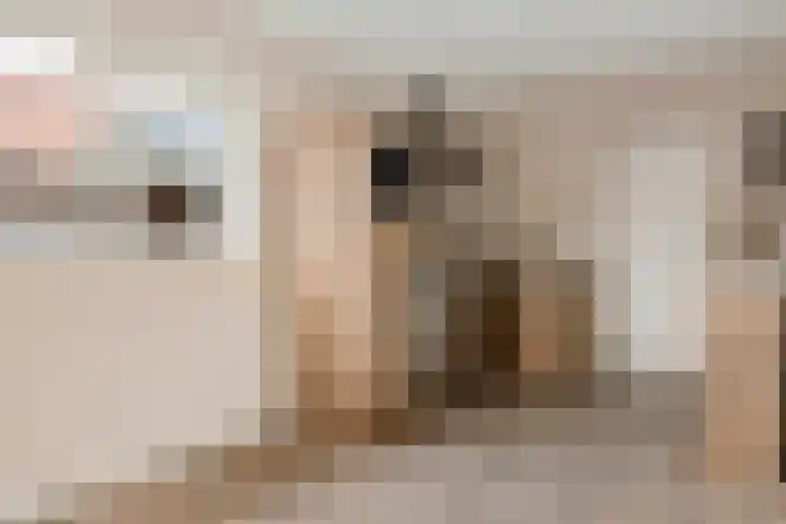 Vledderweg 2 Vledder thumbnail 18
