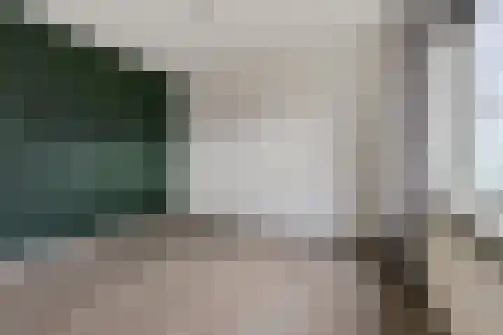 Vledderweg 2 Vledder thumbnail 22
