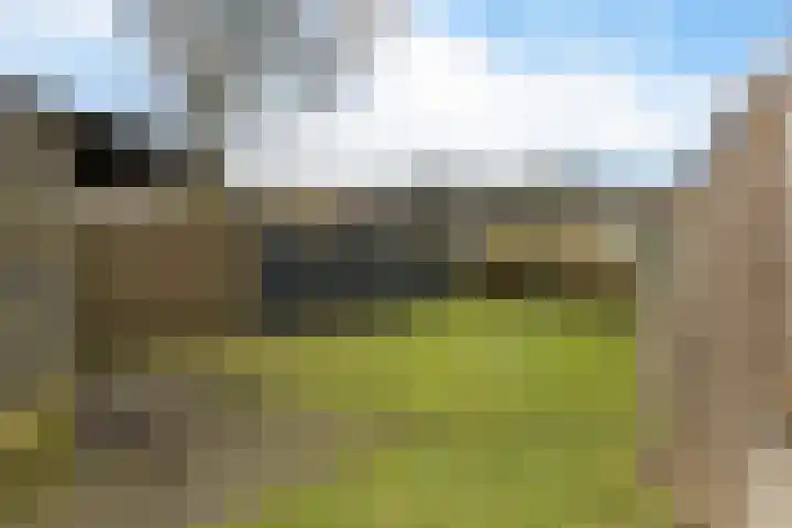 Vledderweg 2 Vledder thumbnail 38