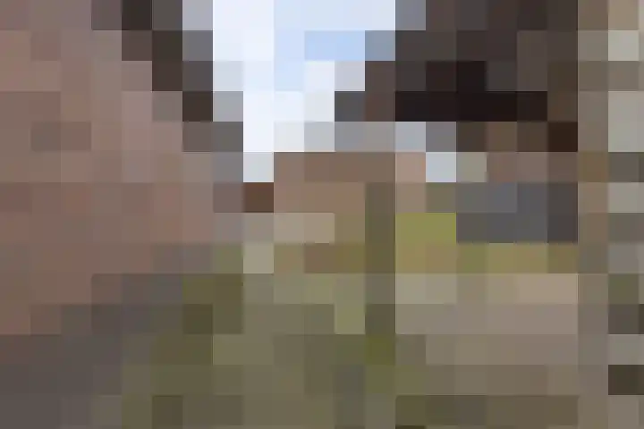 Vledderweg 2 Vledder thumbnail 43
