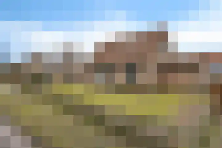 Vledderweg 2 Vledder thumbnail 6