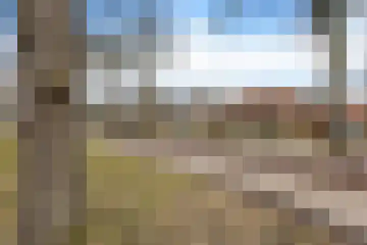 Vledderweg 2 Vledder thumbnail 8