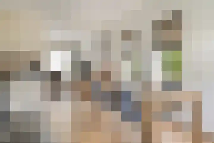 Vledderweg 24 Vledder thumbnail 11
