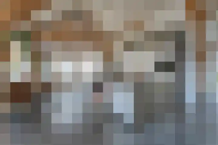 Vledderweg 24 Vledder thumbnail 11