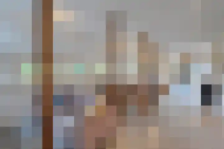 Vledderweg 24 Vledder thumbnail 15