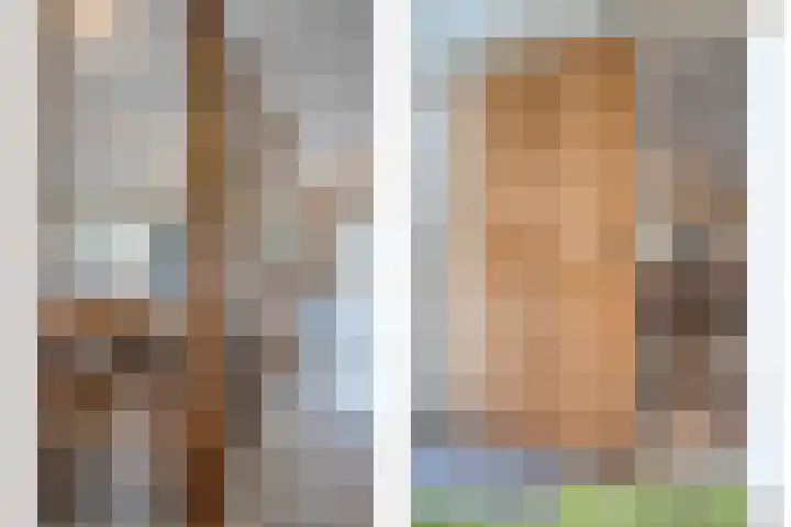 Vledderweg 24 Vledder thumbnail 16