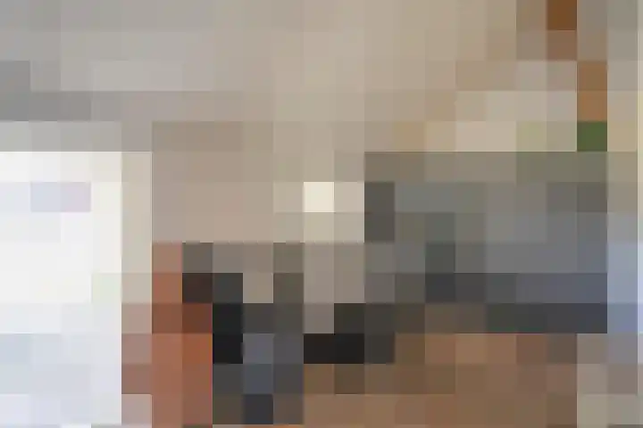 Vledderweg 24 Vledder thumbnail 25