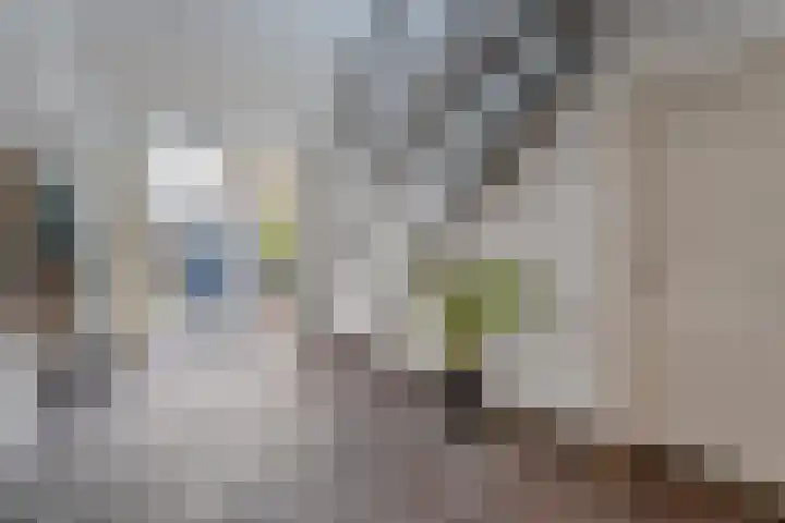 Vledderweg 24 Vledder thumbnail 26