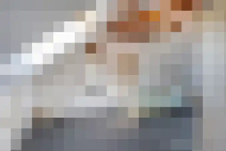 Vledderweg 24 Vledder thumbnail 31