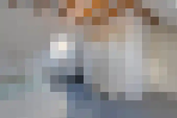 Vledderweg 24 Vledder thumbnail 32