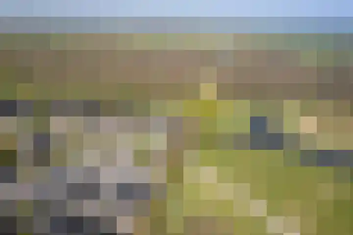 Vledderweg 24 Vledder thumbnail 40