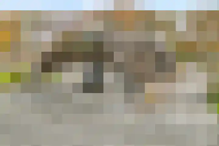 Vledderweg 24 Vledder thumbnail 40