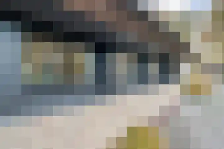 Vledderweg 24 Vledder thumbnail 42