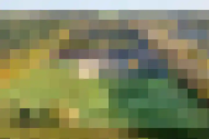 Vledderweg 24 Vledder thumbnail 45