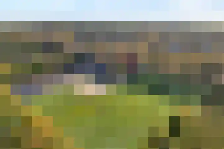 Vledderweg 24 Vledder thumbnail 46