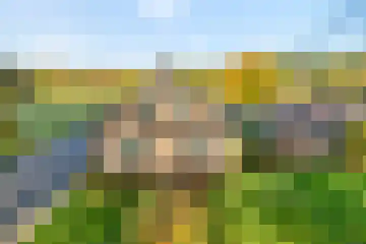 Vledderweg 24 Vledder thumbnail 48