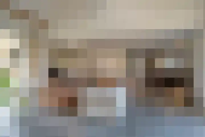 Vledderweg 24 Vledder thumbnail 5