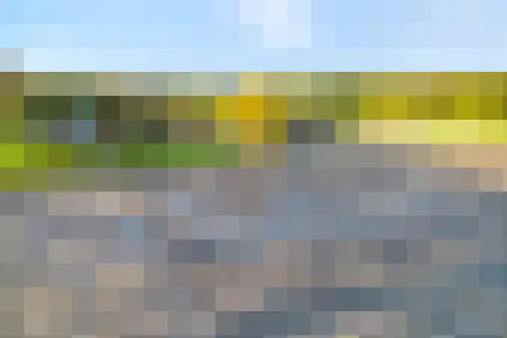 Vledderweg 24 Vledder thumbnail 50