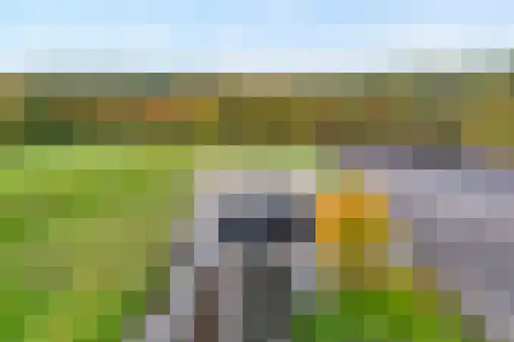Vledderweg 24 Vledder thumbnail 51