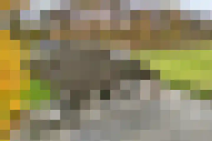 Vledderweg 24 Vledder thumbnail 52