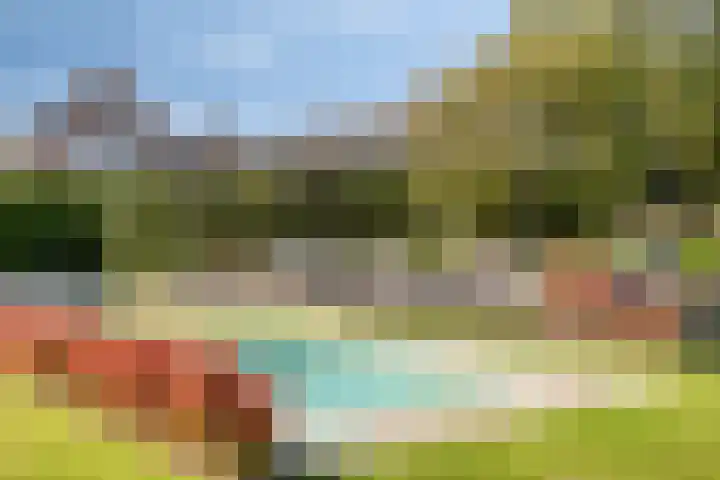 Vledderweg 24 Vledder thumbnail 53