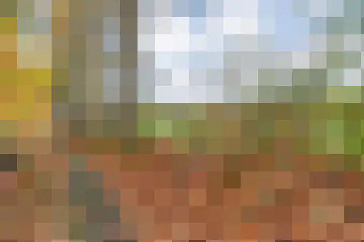 Vledderweg 24 Vledder thumbnail 54
