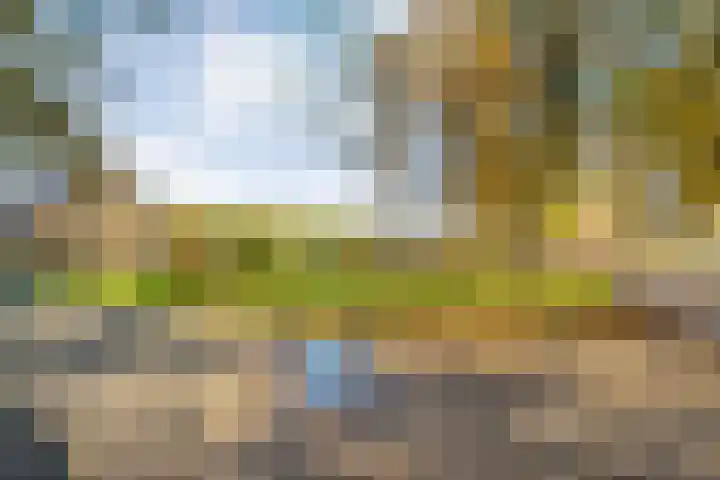 Vledderweg 24 Vledder thumbnail 55