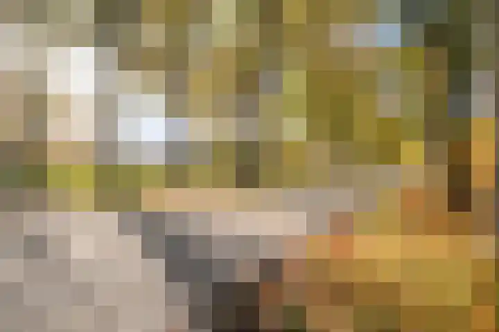 Vledderweg 24 Vledder thumbnail 56