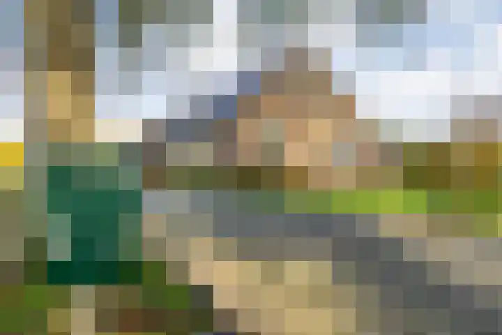 Vledderweg 24 Vledder thumbnail 57