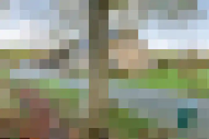 Vledderweg 24 Vledder thumbnail 58