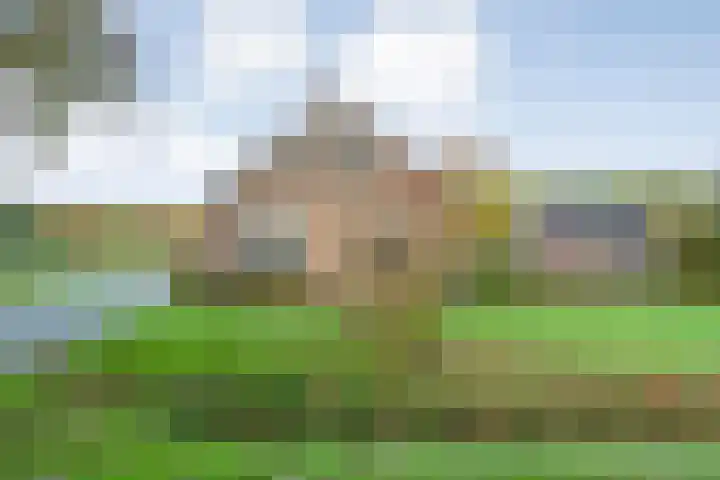Vledderweg 24 Vledder thumbnail 59
