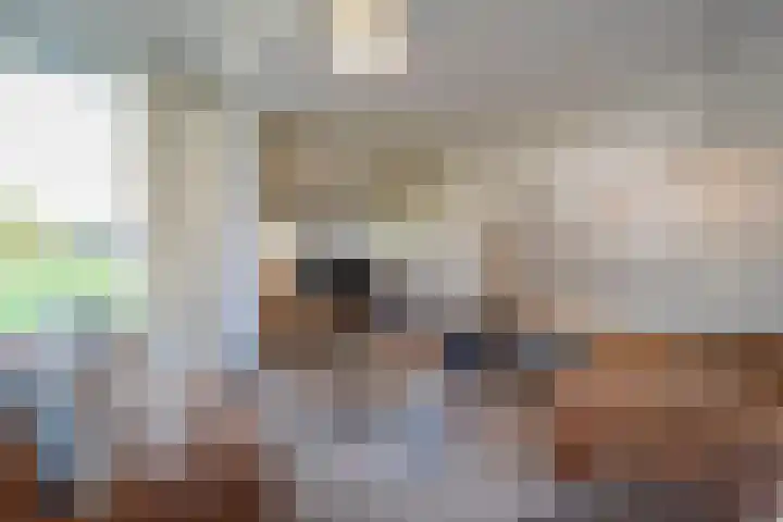 Vledderweg 24 Vledder thumbnail 6