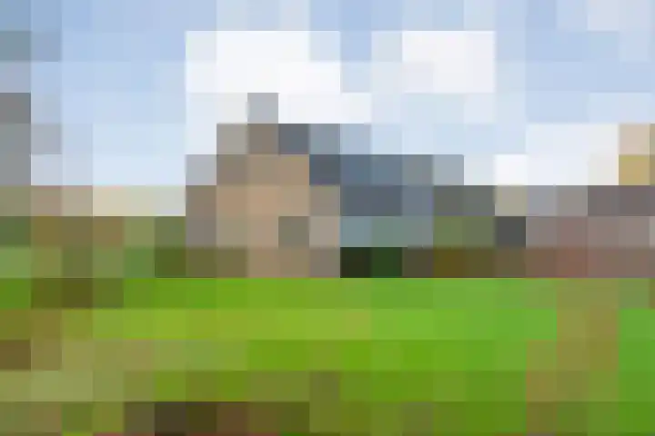 Vledderweg 24 Vledder thumbnail 60