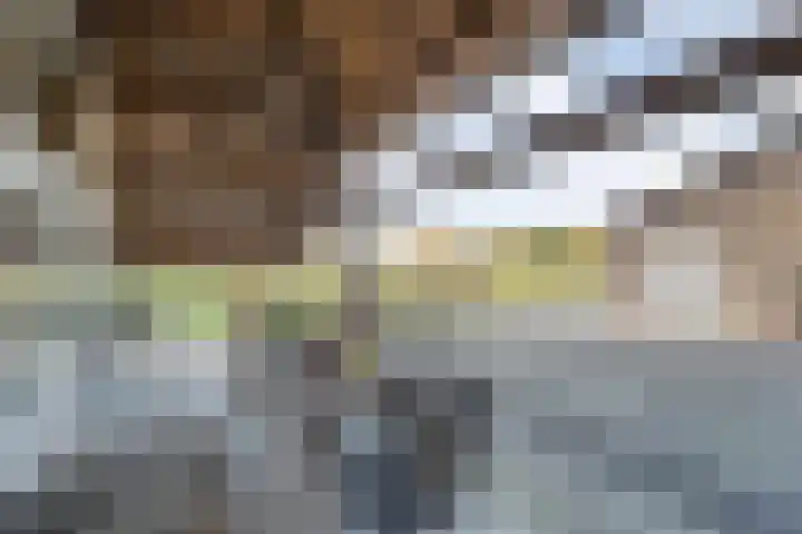 Vledderweg 24 Vledder thumbnail 65