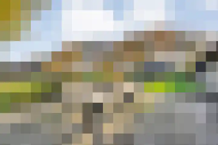 Vledderweg 24 Vledder thumbnail 66