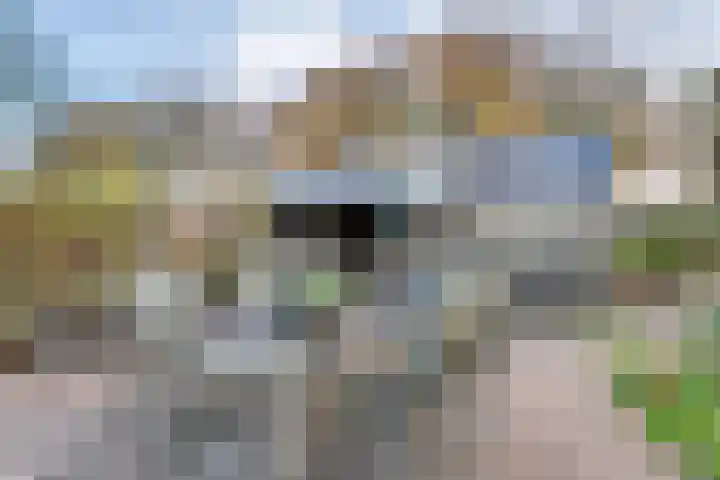 Vledderweg 24 Vledder thumbnail 68