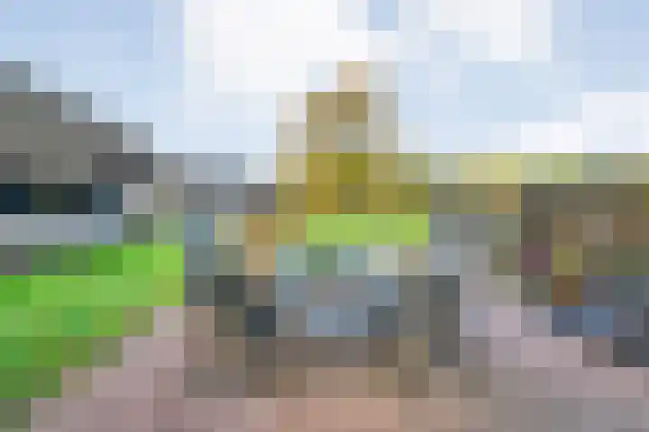 Vledderweg 24 Vledder thumbnail 69