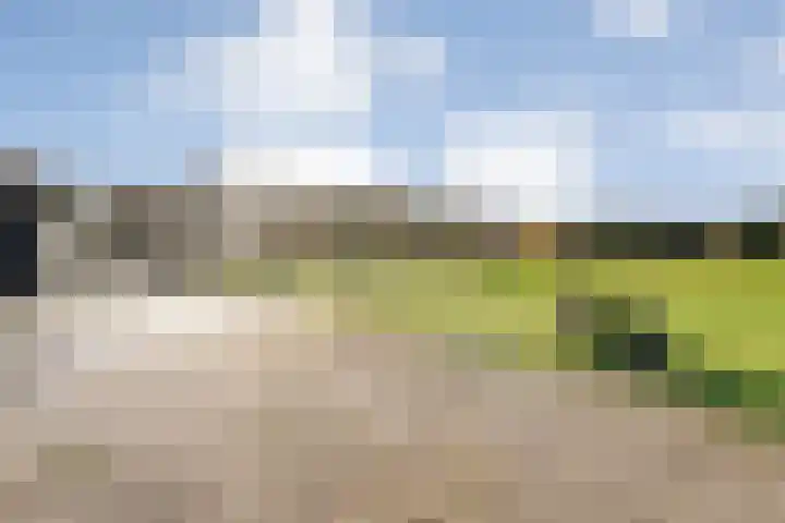 Vledderweg 24 Vledder thumbnail 72