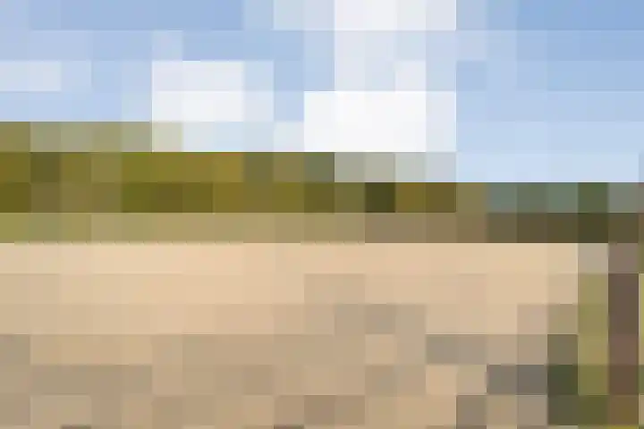 Vledderweg 24 Vledder thumbnail 73