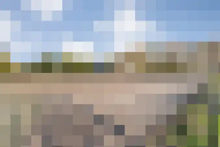 Vledderweg 24 Vledder thumbnail 74