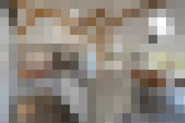 Vledderweg 24 Vledder thumbnail 9