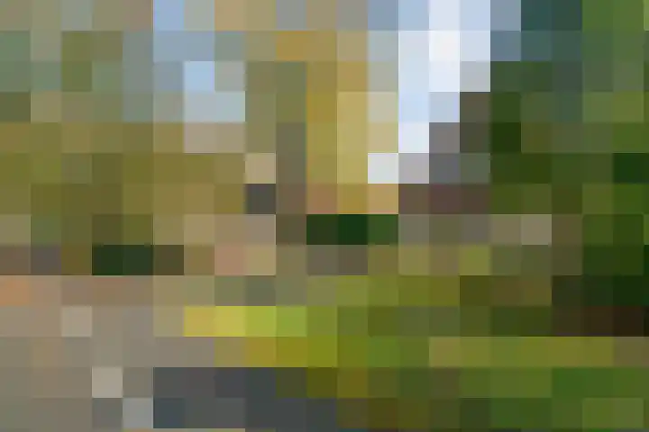 Vledderweg 29 Vledder thumbnail 10