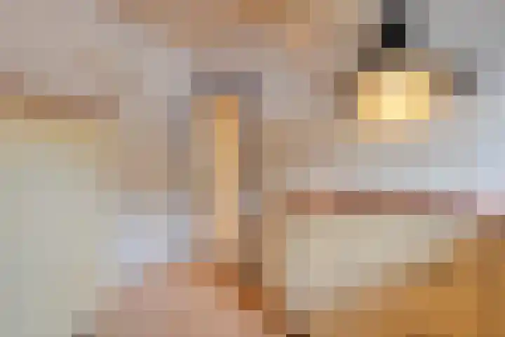 Vledderweg 29 Vledder thumbnail 25
