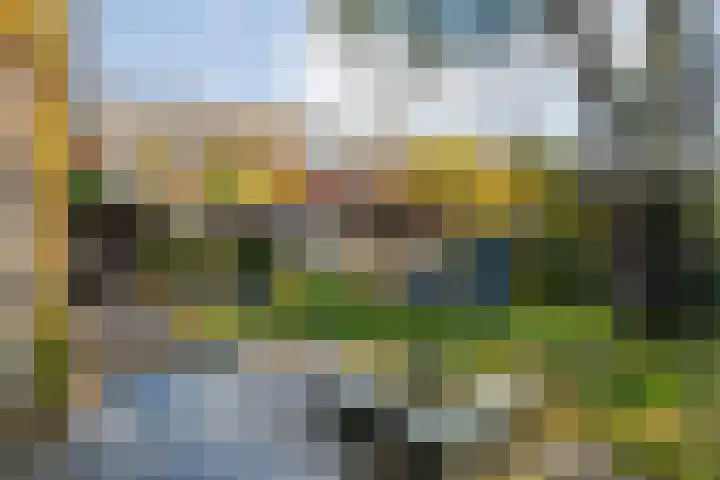 Vledderweg 29 Vledder thumbnail 43